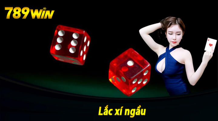 Giới Thiệu Về Cách Chơi Xí Ngầu 789win