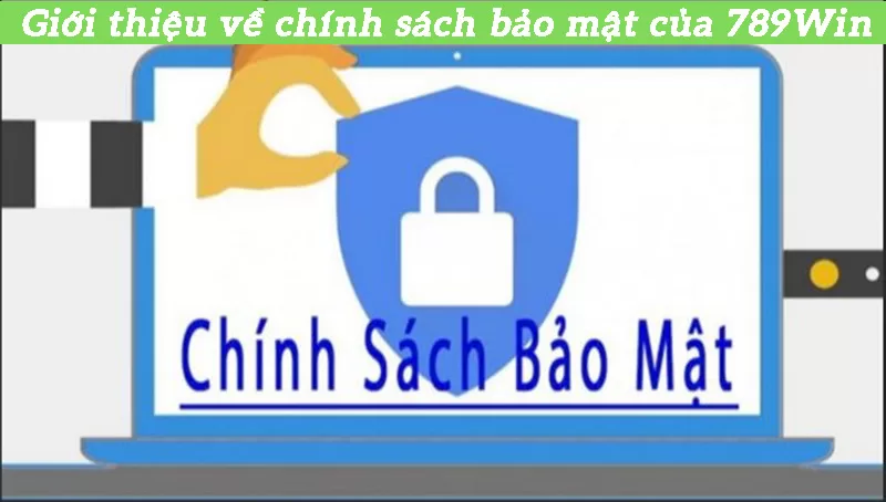 Chính Sách Bảo Mật 789win - Thế Gian Cá Cược An Toàn