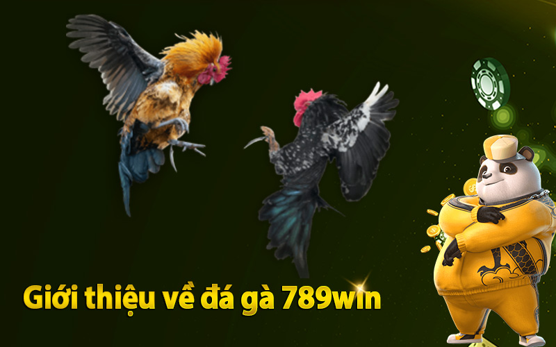 Giới thiệu về đá gà 789win