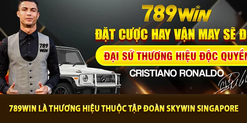 789win là thương hiệu thuộc tập đoàn skywin singapore